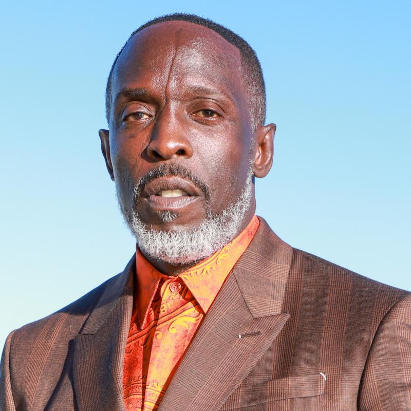 Actor Michael K Williams